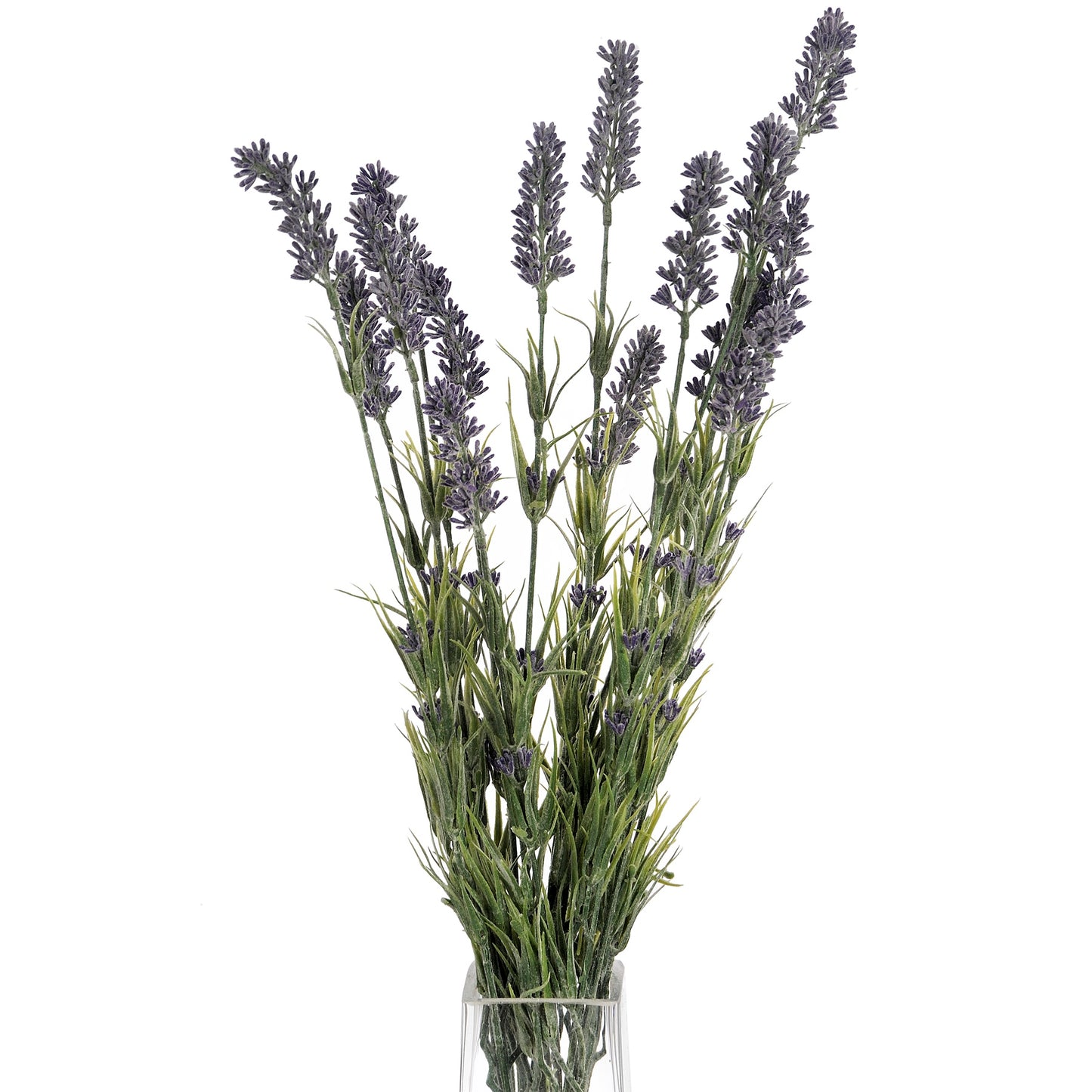 Large Lavender Stem
