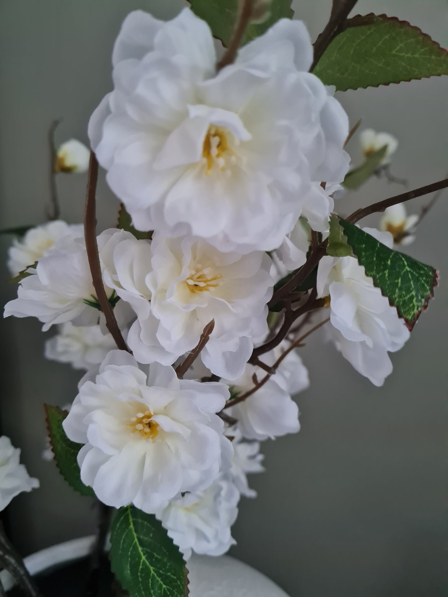 The Botanical - Blossom arrangement