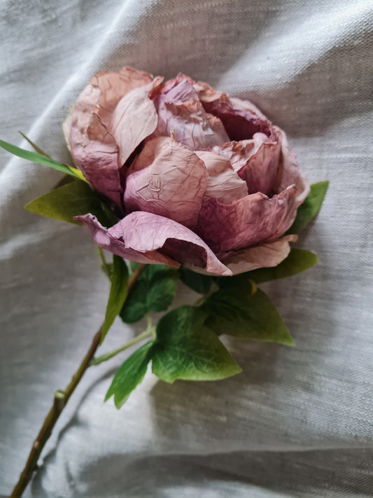 Pink Peony Stem