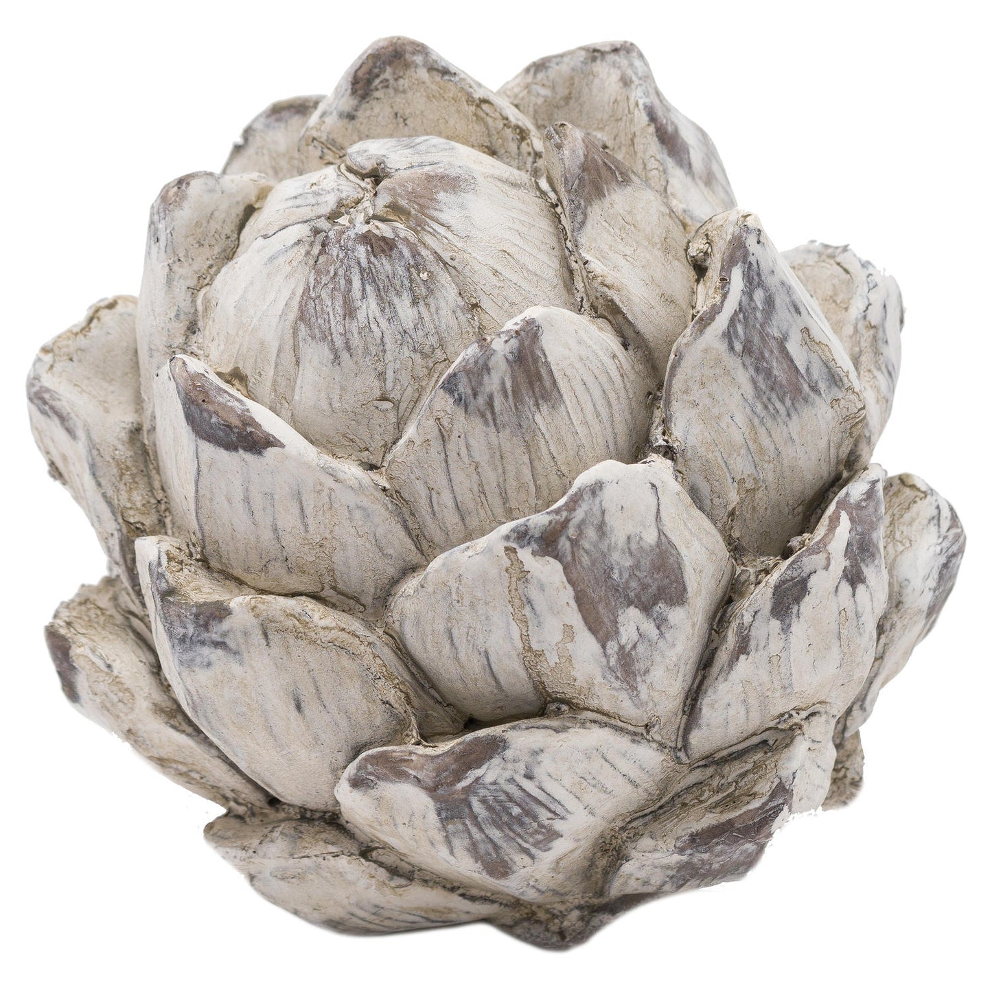 Small Artichoke