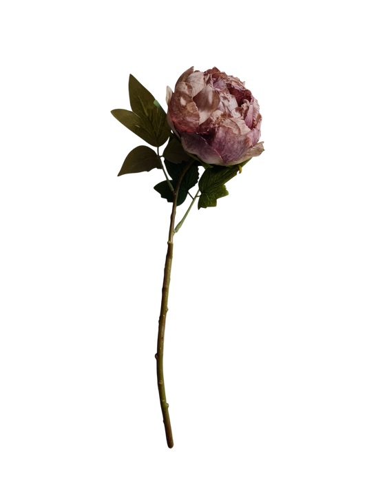 Pink Peony Stem